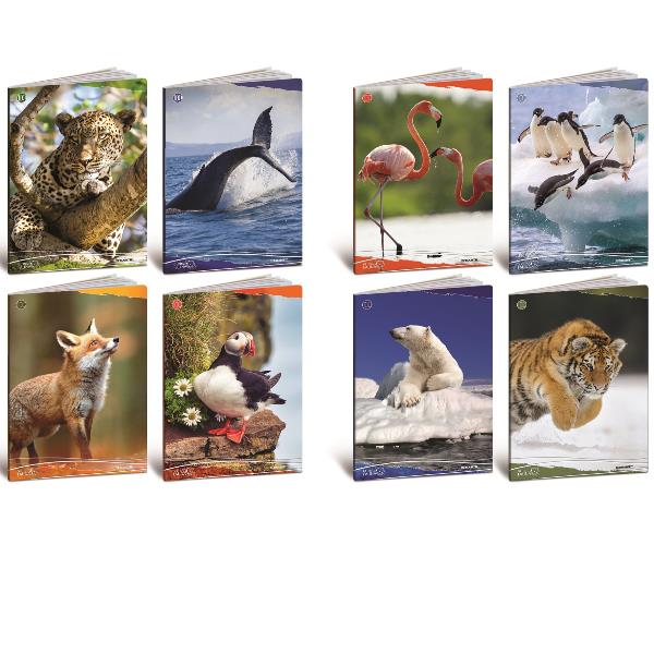 CF10 QUADERNO ANIMALI 100G A4 0B