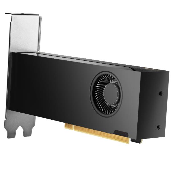 HP NVIDIA RTX 2000 ADA 16 GB 4MDP