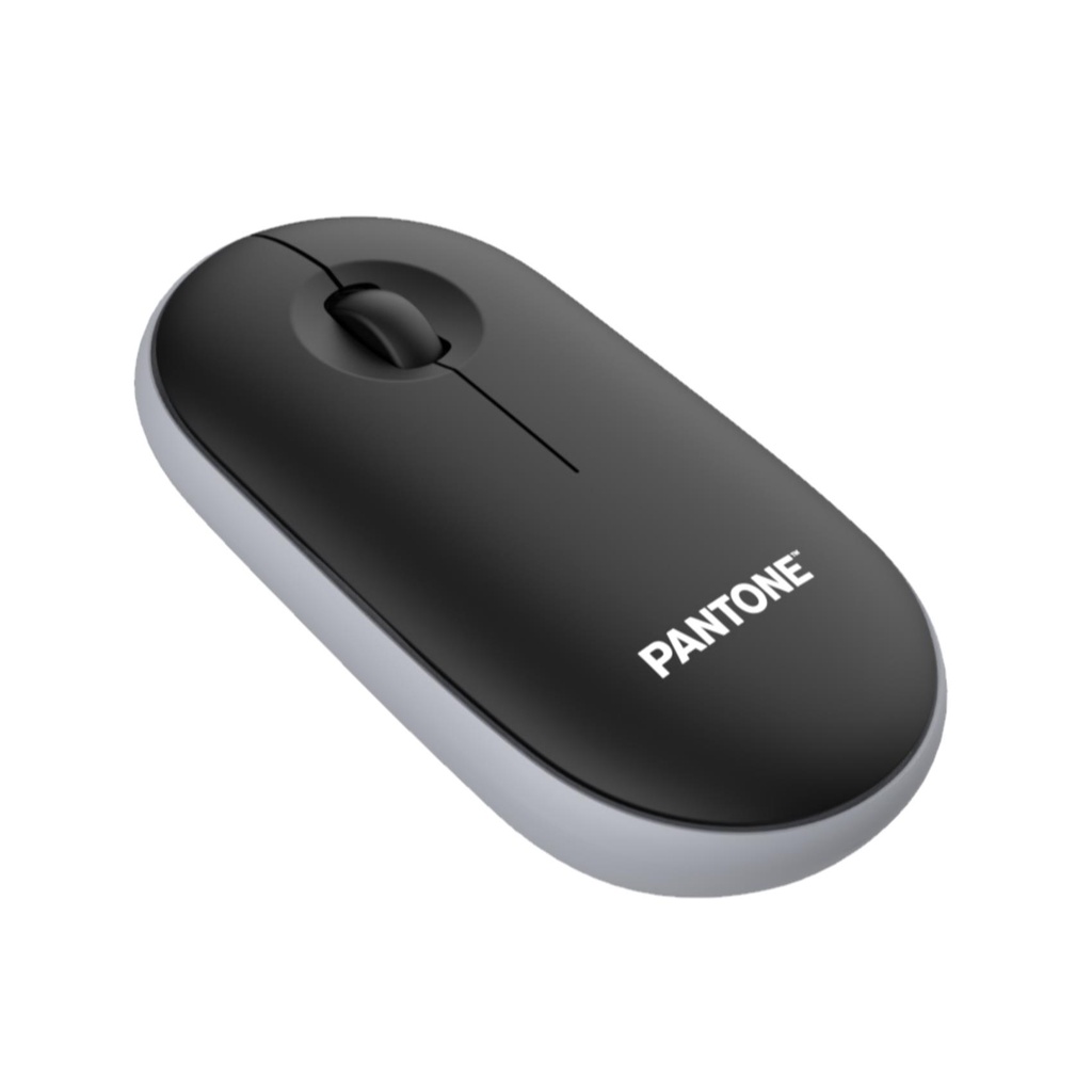 PANTONE MOUSE CON DONGLE BK