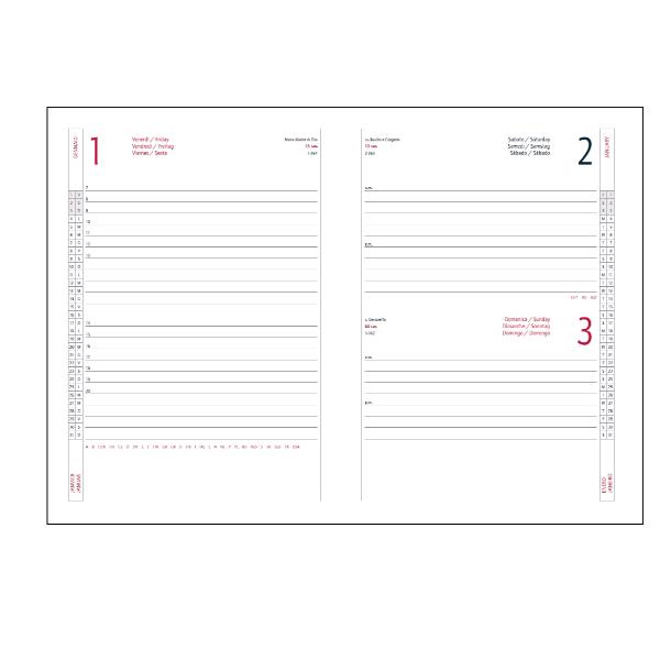 AGENDA GIORNALIERA 17X24 ALFA ROSSO