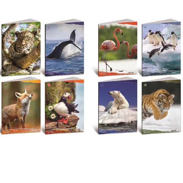 CF10 QUADERNO ANIMALI 100G A4 0A