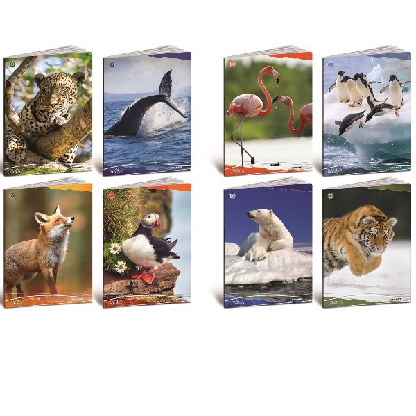 CF10 QUADERNO ANIMALI 100G A4 0C