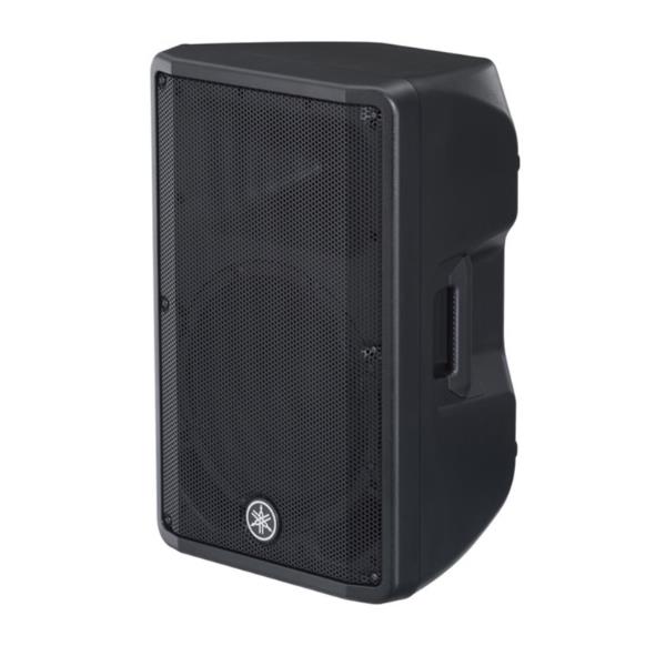 CASSA AMPLIFICATA 1X12 1000W