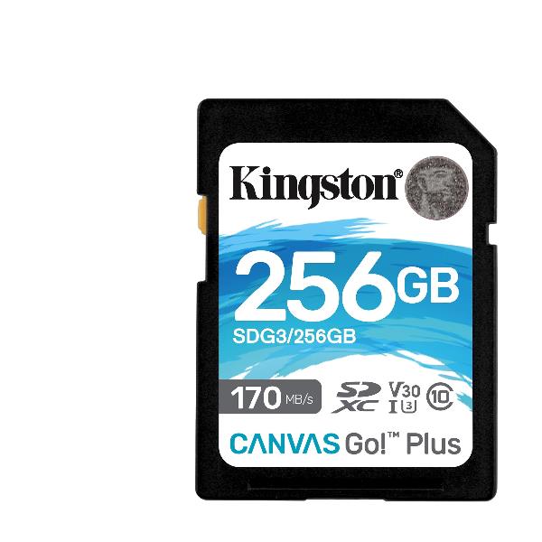 256GB SDXC CANVAS GO PLUS 170R