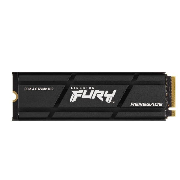 500G REN.PCIE 4.0 NVME SSD HEATSINK