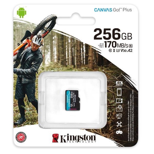 [SDCG3/256GBSP] 256GB MICROSDXC CANVAS GO PLUS