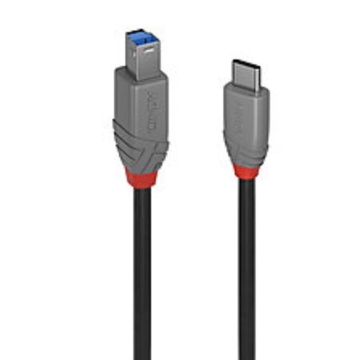 [36665-LND] 0.5M USB 3.2 TYP C AN B