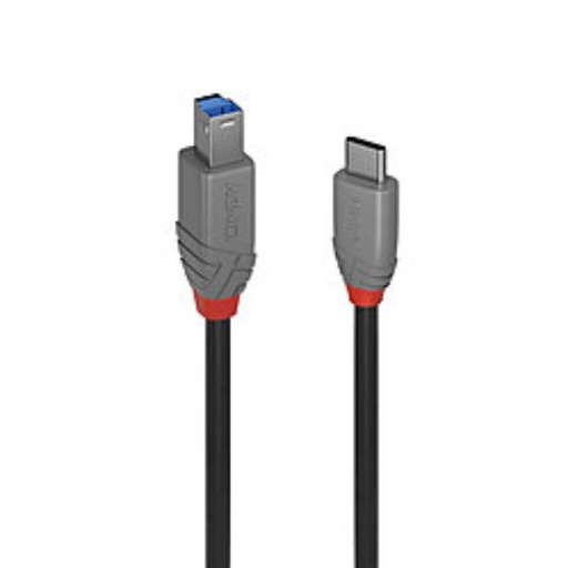 [36666-LND] 1M USB 3.2 TYP C AN B