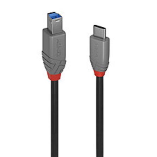 [36667-LND] 2M USB 3.2 TYP C AN B