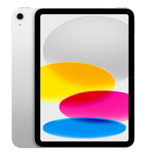 [MCMN4TY/A] IPAD WF CL 256GB SILVER