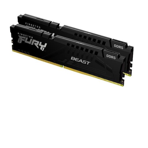 [KF560C36BBEK216] 16GB 6000 DDR5 DIMM K2 F.B.B. EXPO