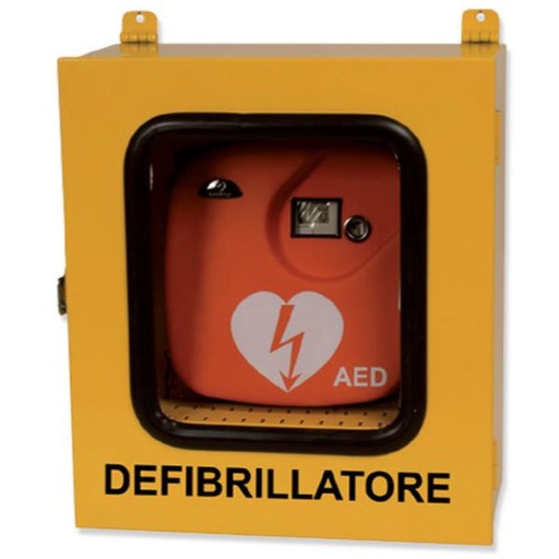 [35334A] ARMADIETTO ESTERNO DEFIBRILLATORI