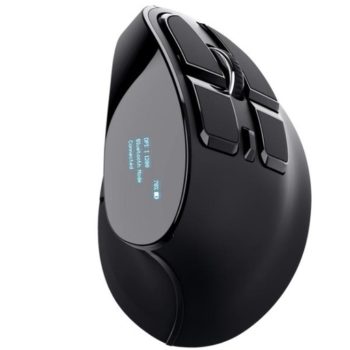 [23731] VOXX ERGONOMIC RECHARGEABLE MOUSE