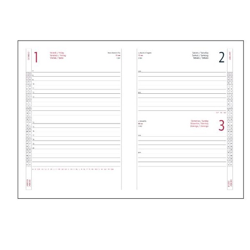 [7141AF28] AGENDA GIORNALIERA 17X24 ALFA ROSSO