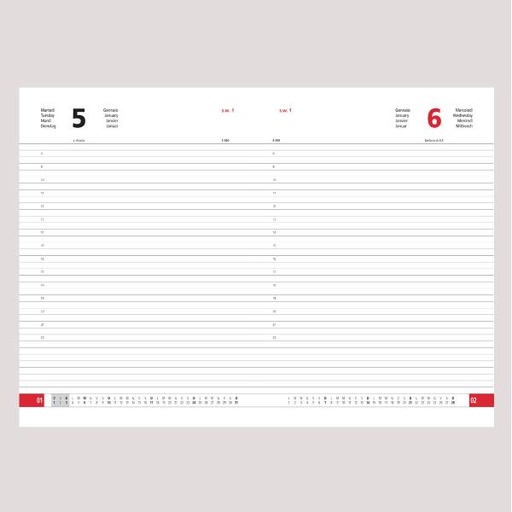 [7145AF28] AGENDA GIORNALIERA 21X30 ALFA ROSSO