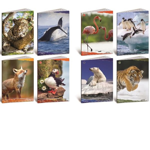 [8206] CF10 QUADERNO ANIMALI 100G A4 4F