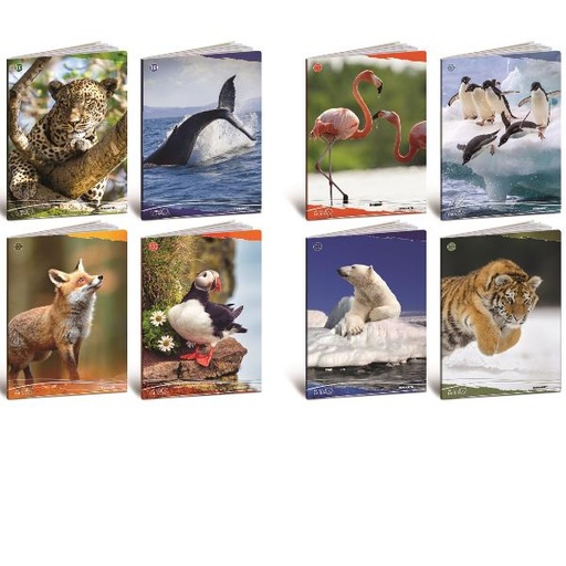 [8209] CF10 QUADERNO ANIMALI 100G A4 1R